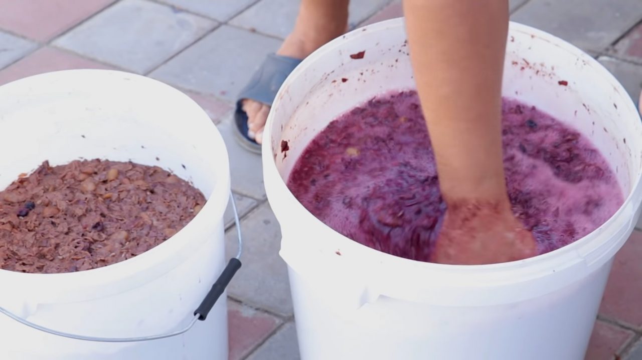 Делаем вино в домашних условиях