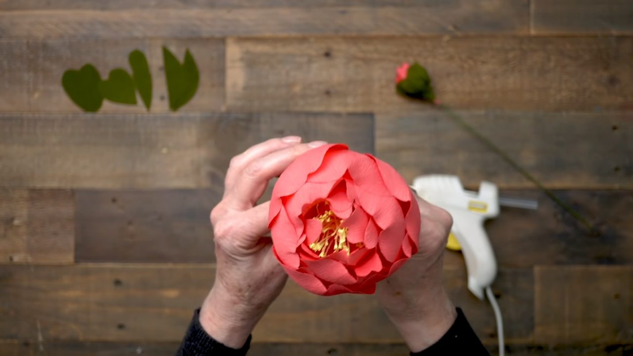 Пышные пионы из гофрированной бумаги