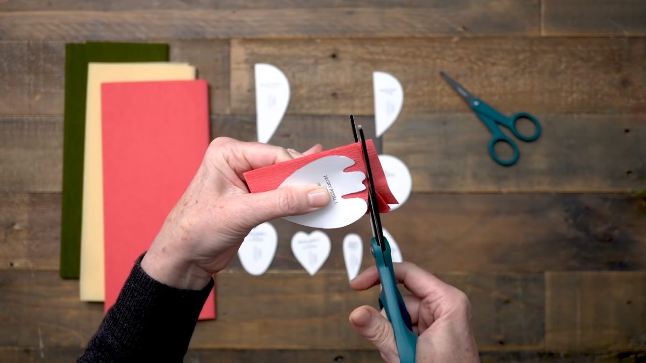 Пышные пионы из гофрированной бумаги