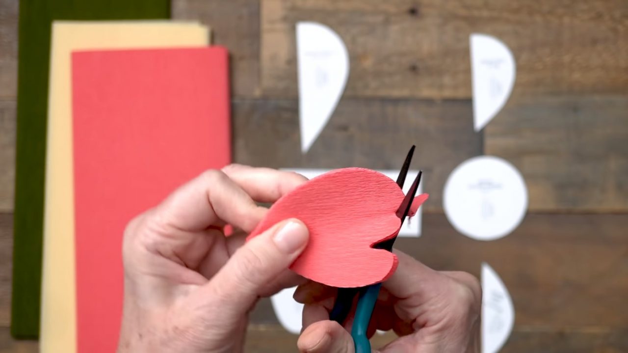 Пышные пионы из гофрированной бумаги