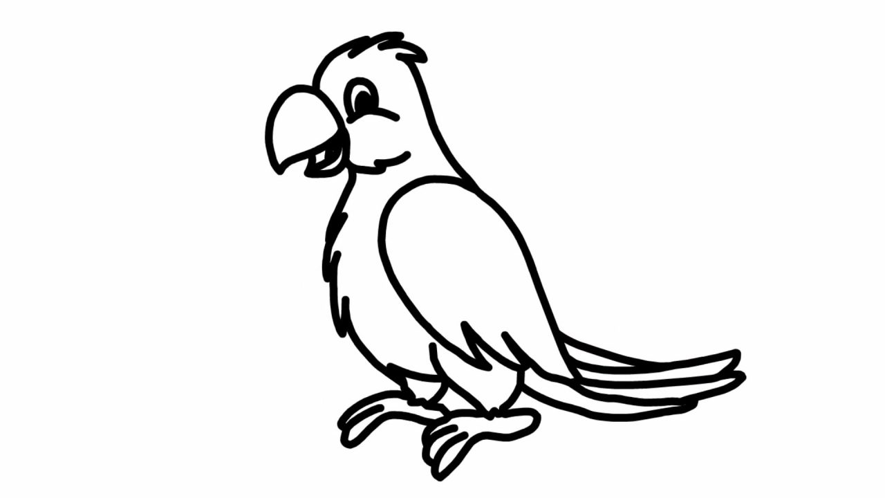 Как нарисовать попугая: поэтапный мастер-класс для детей