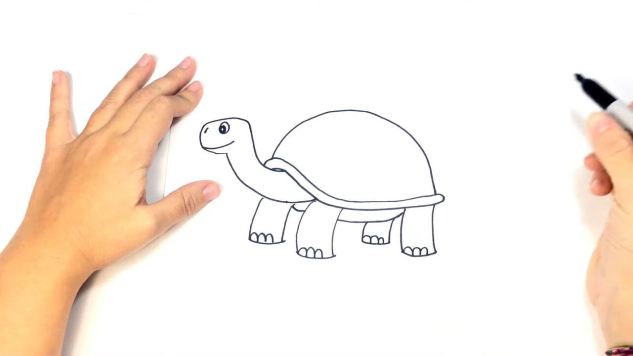 Как нарисовать черепаху карандашом или фломастером