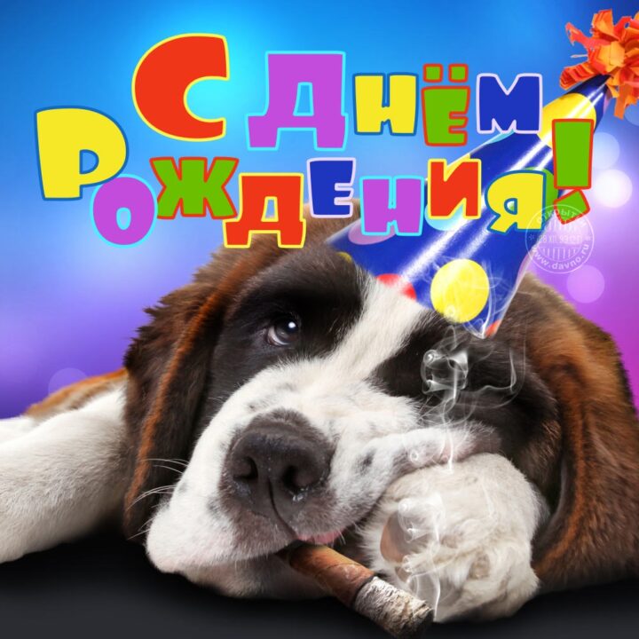 150 прикольных картинок-открыток для мужчин на день рождения