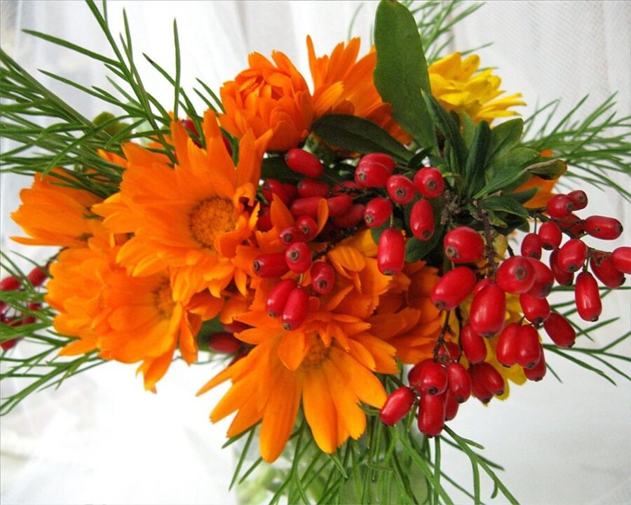 200 красивых картинок-открыток с днем рождения женщине