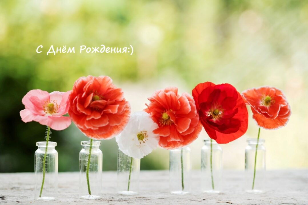 200 красивых картинок-открыток с днем рождения женщине