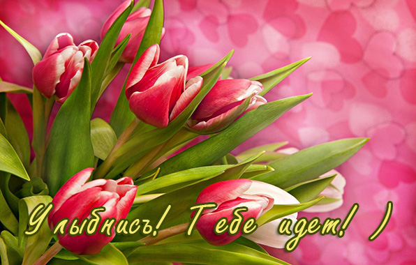 Улыбнись и не грусти! 160 прикольных улыбчивых картинок-открыток