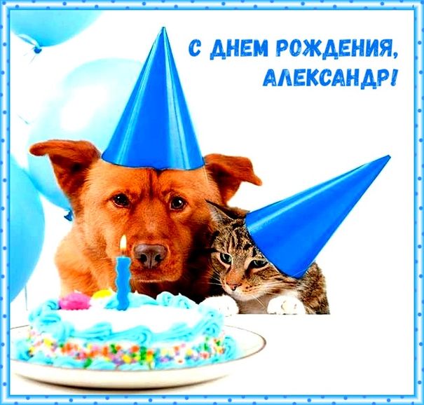 106 открыток Александру с поздравлениями на день рождения