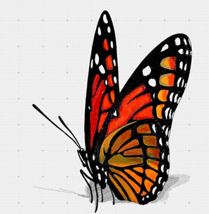 150 объемных 3D рисунков карандашом и не только