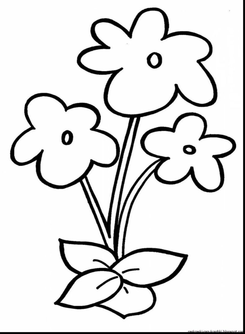 Flowers Raskraska 75 раскрасок с цветами