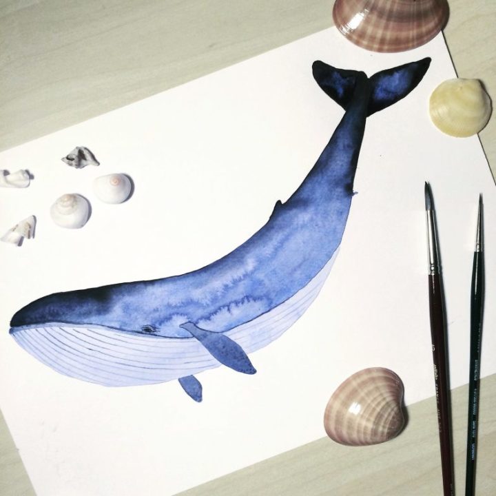 Как нарисовать кита (105 рисунков для детей)